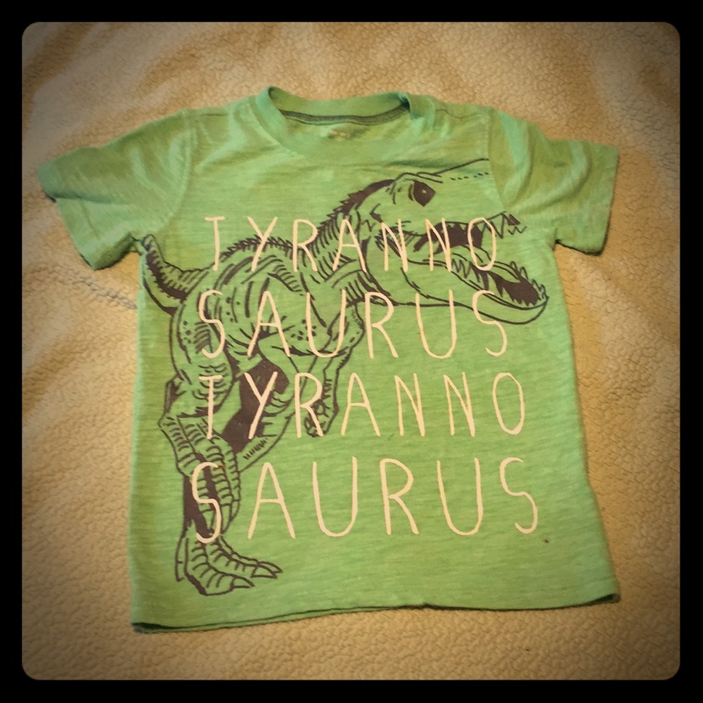 Dinosaur Tee Shirt